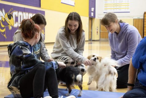 Dogs make students happy and less stressed