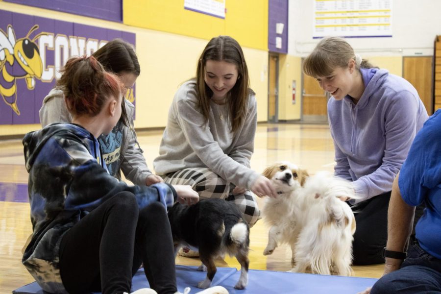 Dogs+make+students+happy+and+less+stressed