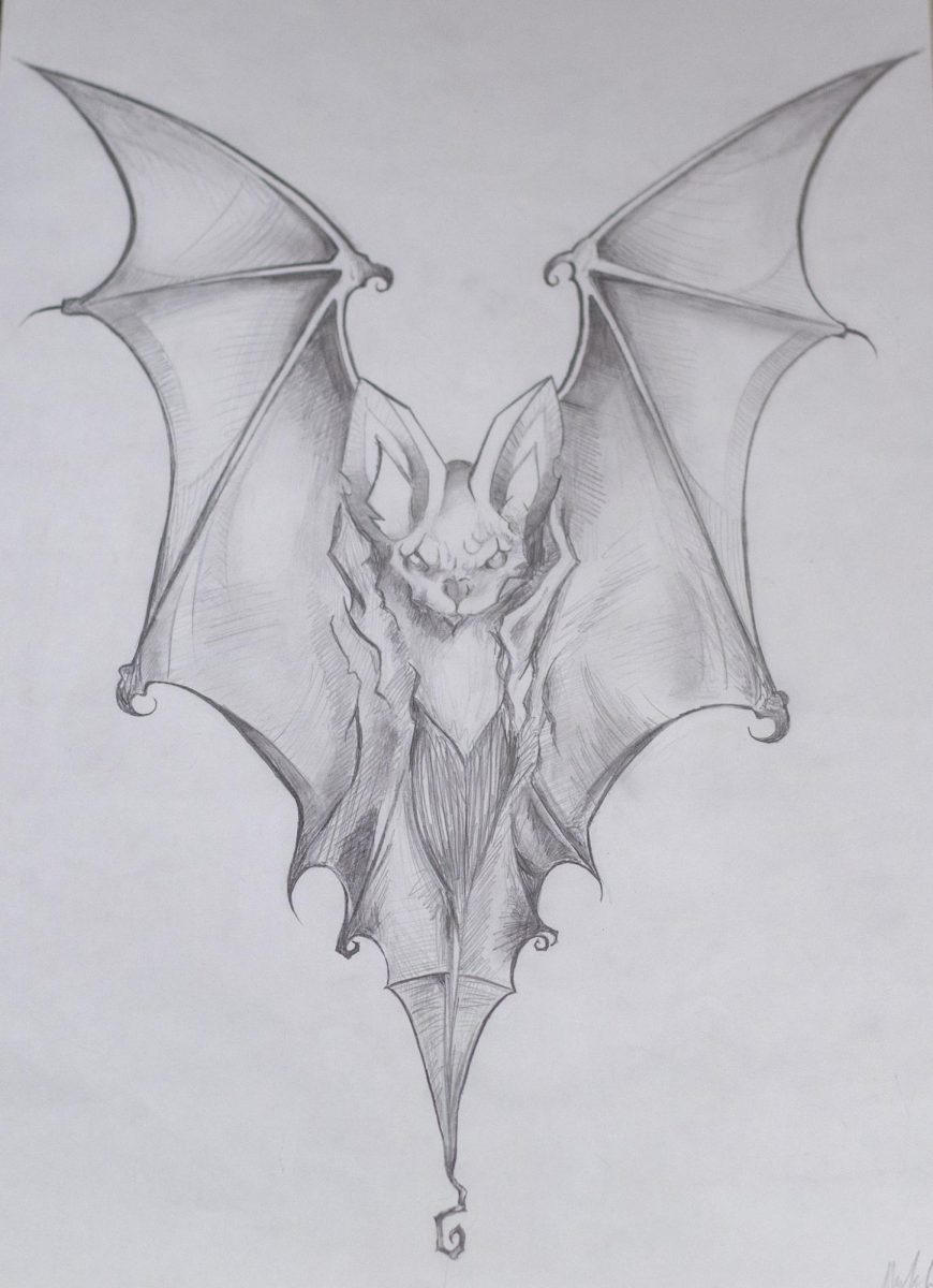 Mykala Drews drawing of a bat in the art show