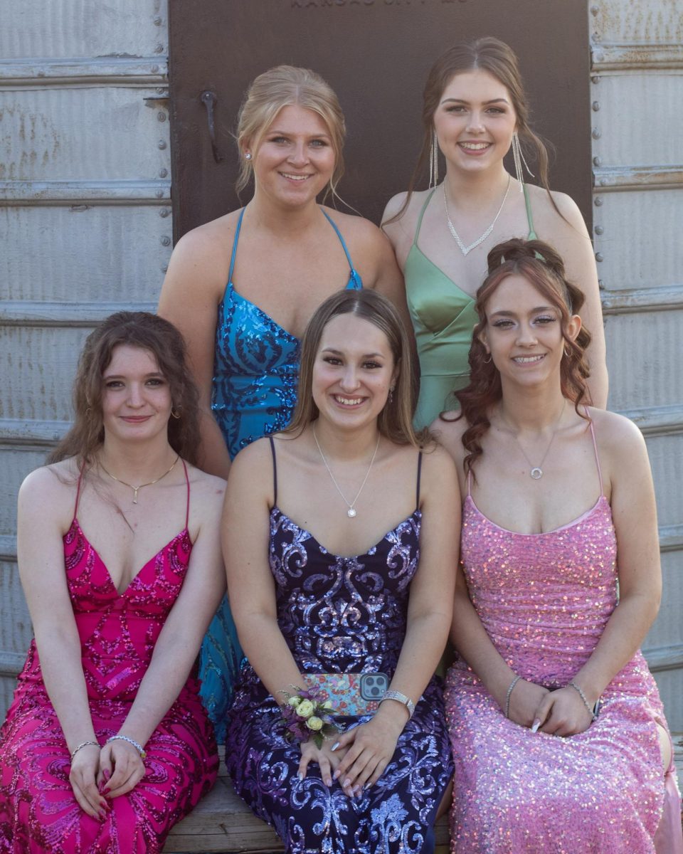 Group of junior girls posing after first arriving at prom.