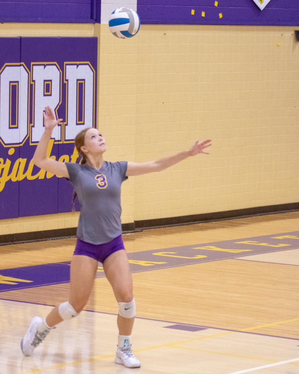 Bradie Lehman serves against Stockbridge in Tuesday night's win.  