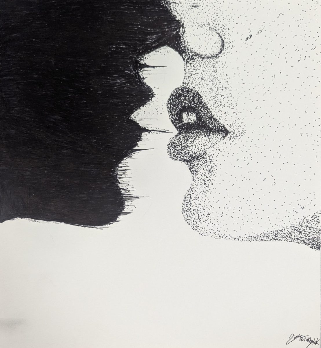 Lizzie is a freshman at CHS.  She created this pen and ink in Art I.  