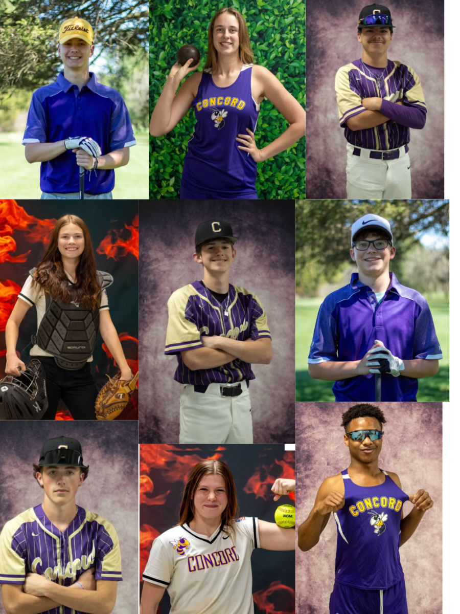 Collage of spring sport athletes