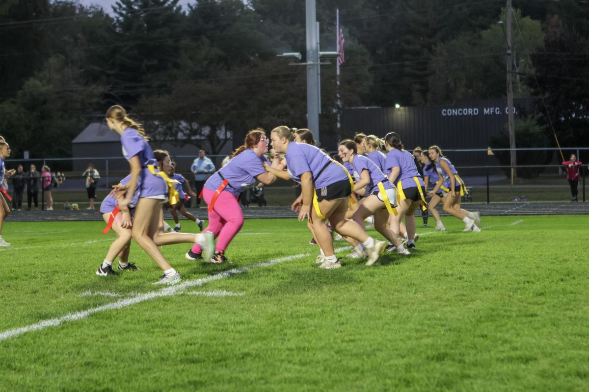 The girls lined up on the field awaiting the next play.